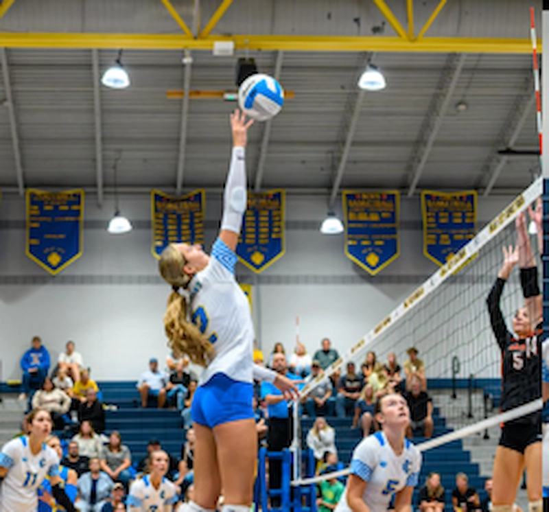 Makayla Bruman, Imlay City Volleyball
