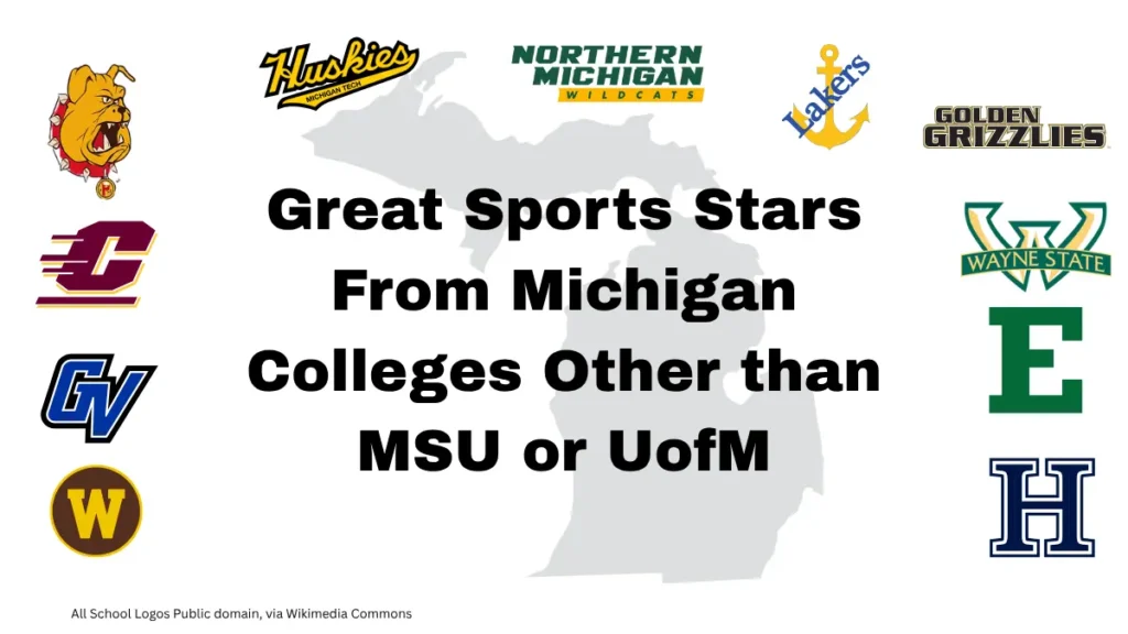 Michigam Small College Logos other than MSU and UofM