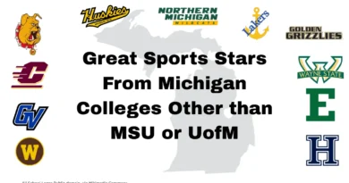 Michigam Small College Logos other than MSU and UofM