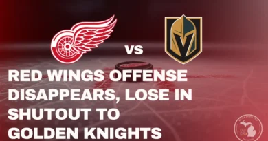 Detroit Red Wings vs Las Vegas Golden Knighs Image of Ice area