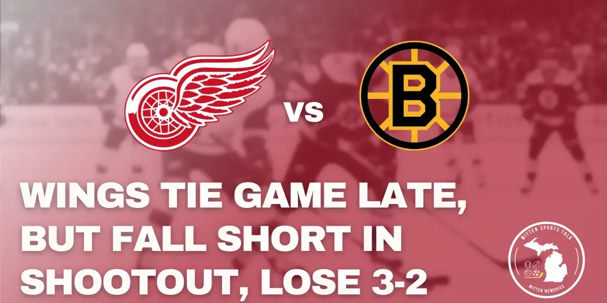 Detroit Red Wings battling the Boston Bruins at TD Garden during shootout loss
