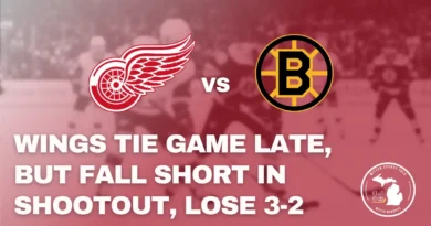 Detroit Red Wings battling the Boston Bruins at TD Garden during shootout loss